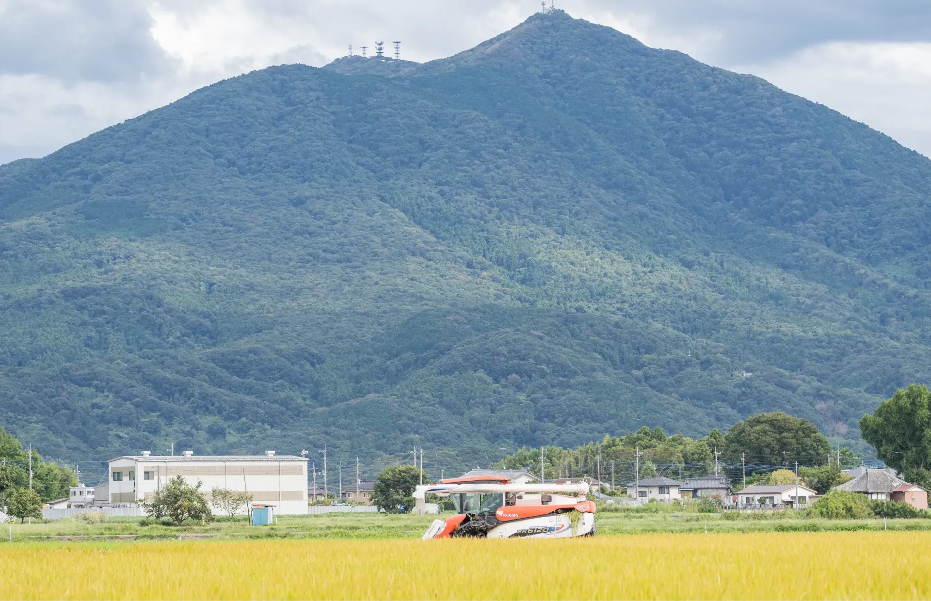 筑波山を背景に稲を収穫