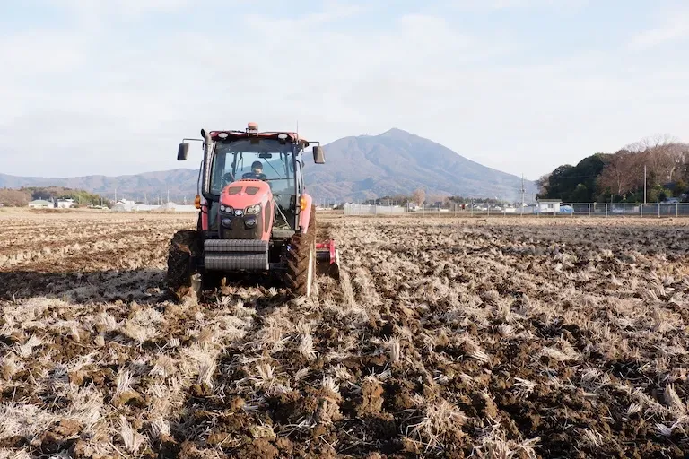 作付けから収穫までの様子