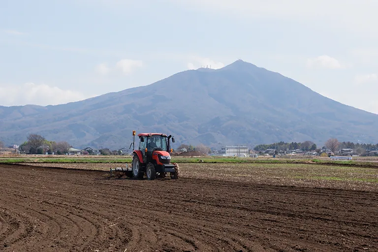 作付けから収穫までの様子