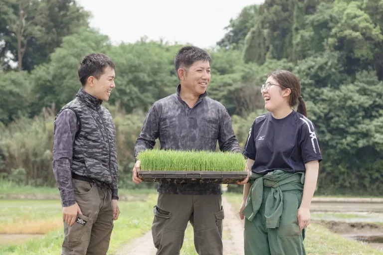 作付けから収穫までの様子