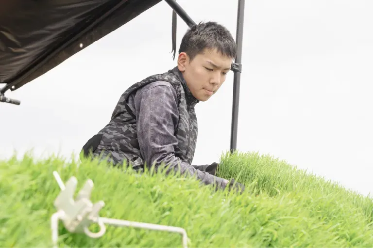 作付けから収穫までの様子