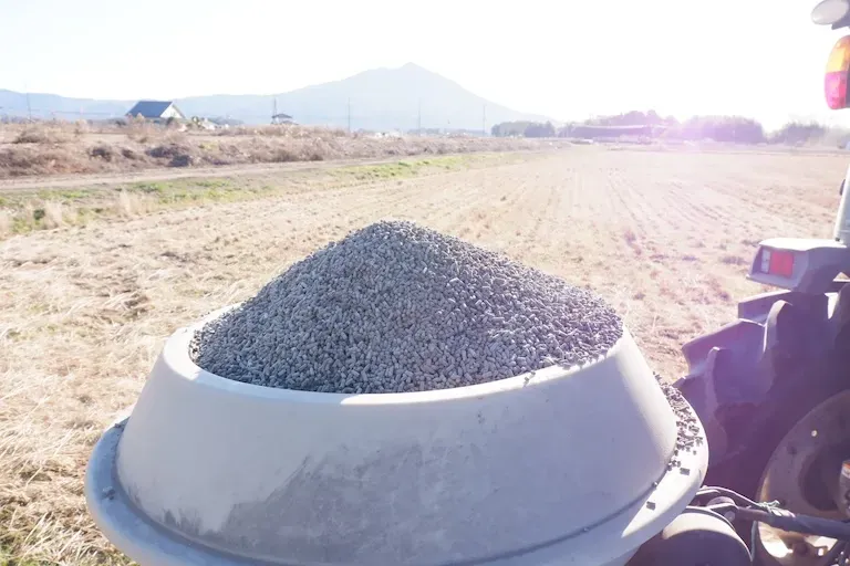 作付けから収穫までの様子