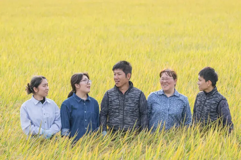 作付けから収穫までの様子