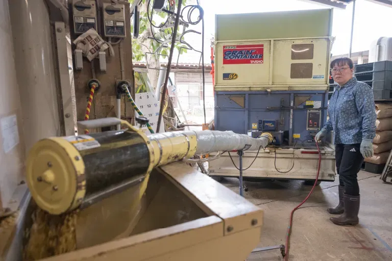 作付けから収穫までの様子