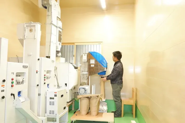 作付けから収穫までの様子