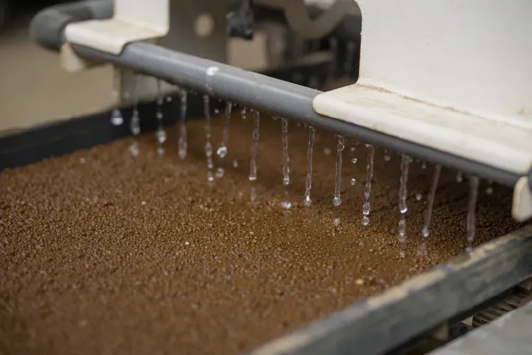 作付けから収穫までの様子