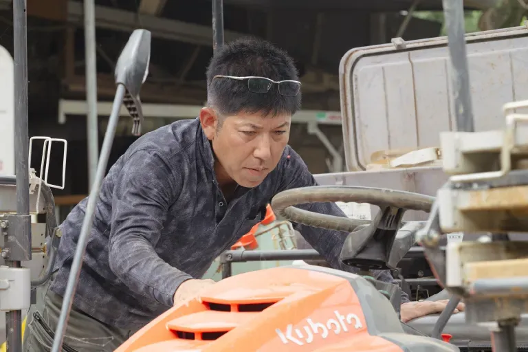 作付けから収穫までの様子