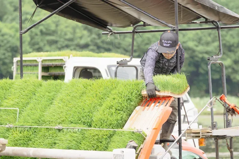 田植え機に稲をセット