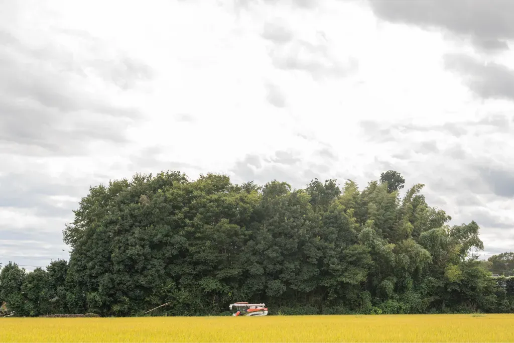 田植え機と生い茂る木々