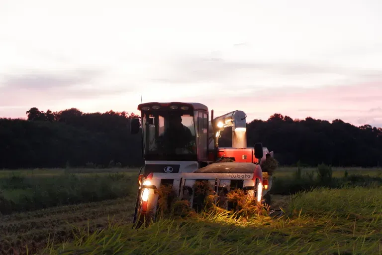 ライトをつけながら収穫する田植え機
