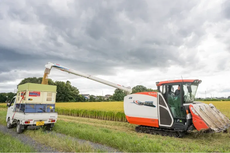 コンバインで収穫した米をトラックに積む