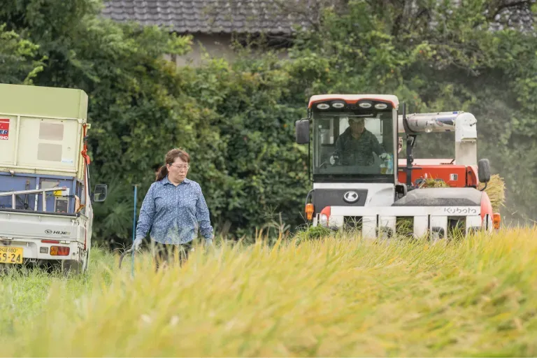 コンバインでの収穫